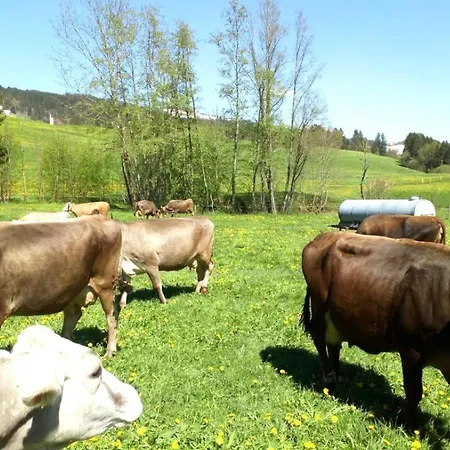 Farm stay Bergbauernhof Wechs